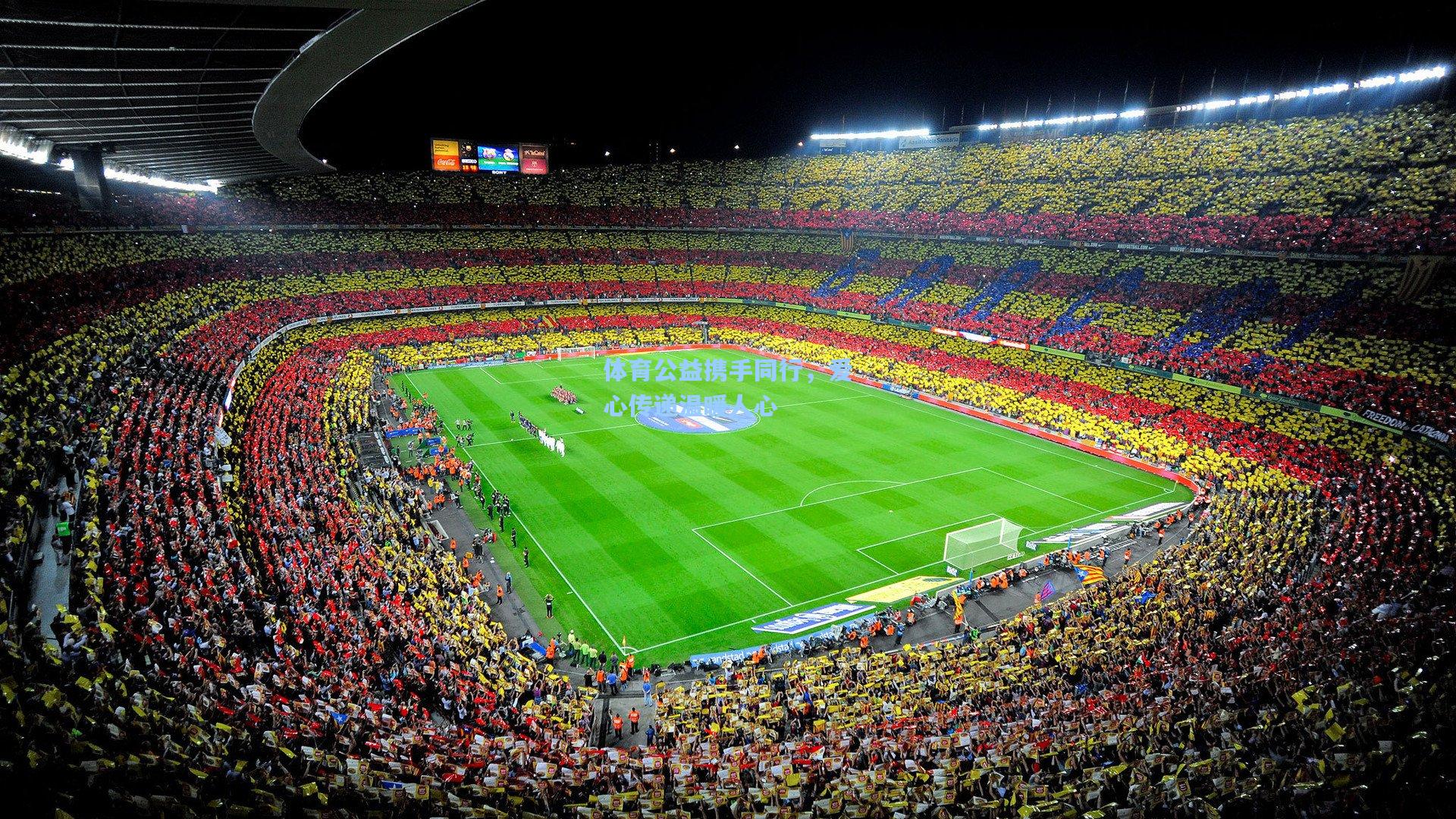 体育公益携手同行，爱心传递温暖人心