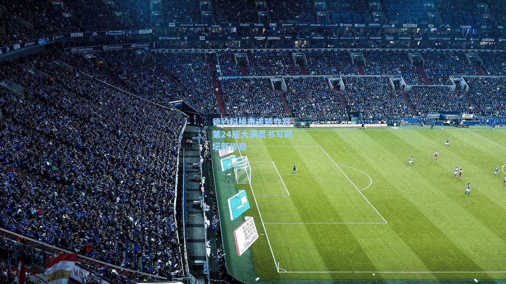 德约科维奇逆转夺冠 第24座大满贯书写网坛新传奇